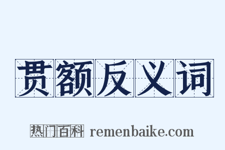 贯额反义词是什么意思的图片